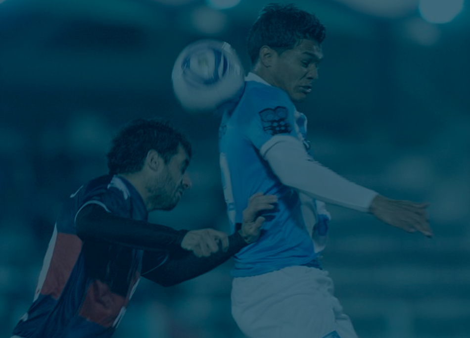 tigre