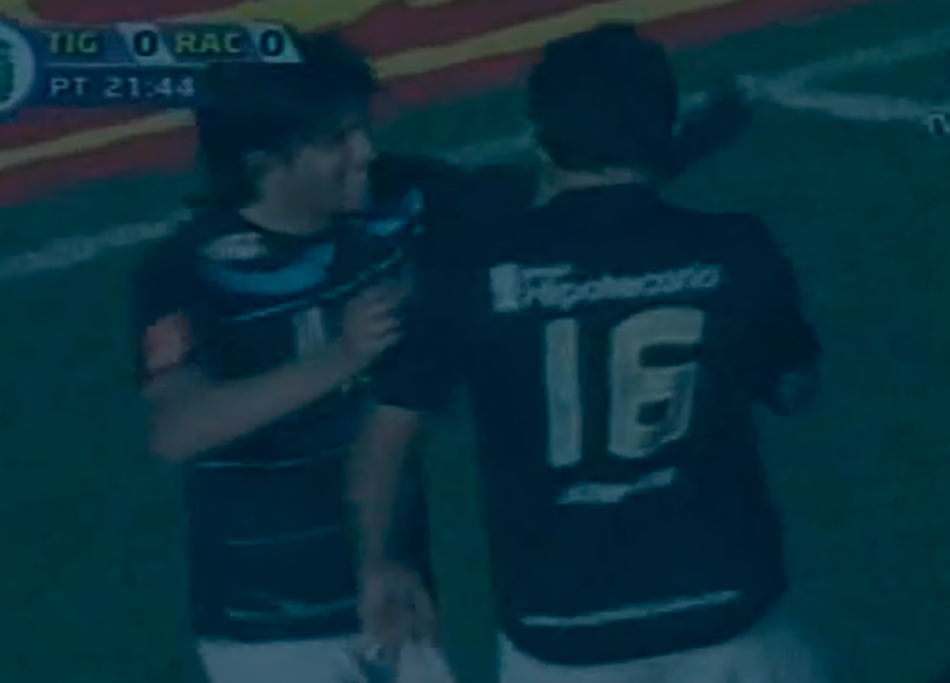 tigre